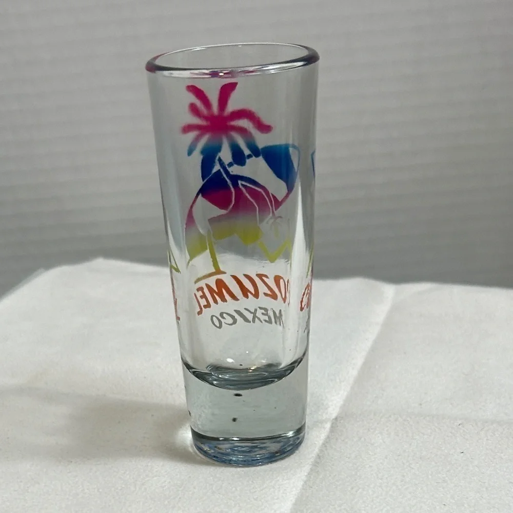 Shot Glass Lot of 4 Cozumel & Maui 4”H